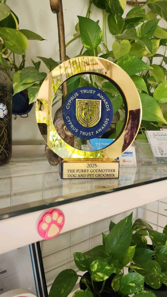 The Furry Godmother - dog and cat Barber Shop 4 The Furry Godmother photo1